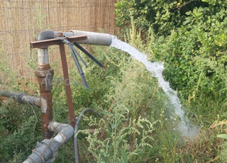 Vente d'une ferme à 50 km d'Oujda