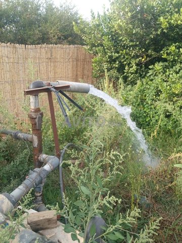 Vente d'une ferme à 50 km d'Oujda