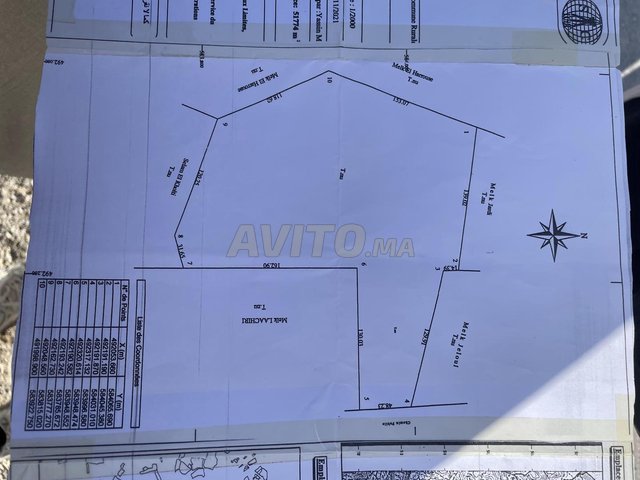 À vendre – Terrain de 4,1 hectares à BOURAIHAN