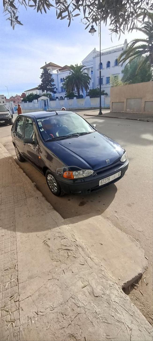 باليو في حالة ممتازة