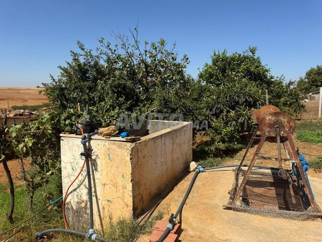أرض فلاحية مساحتها هكتار و 1100 متر مربع