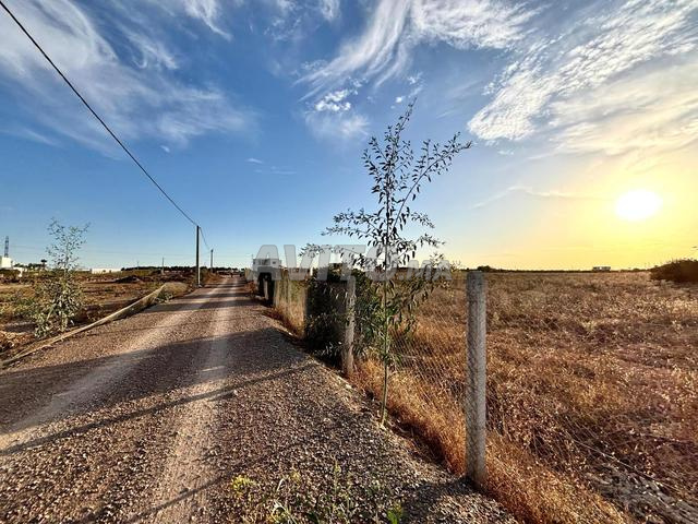 قطعة أرضية بمساحة 14372 م² للبيع في بنسليمان