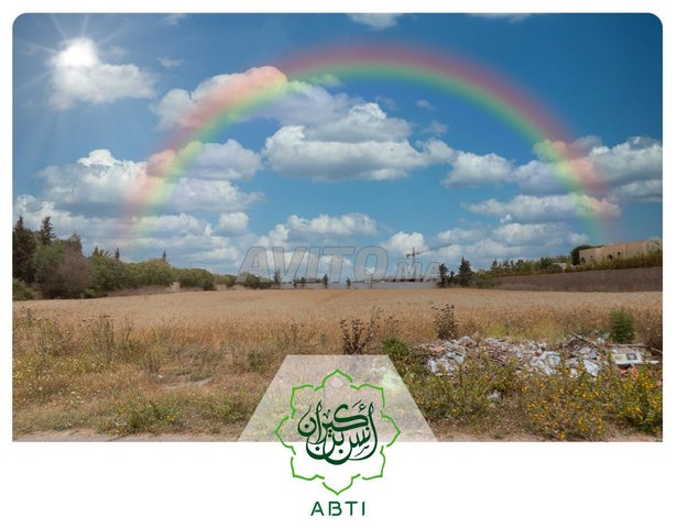 Terrain 1ha lotissement My Driss Labissa Bouskoura