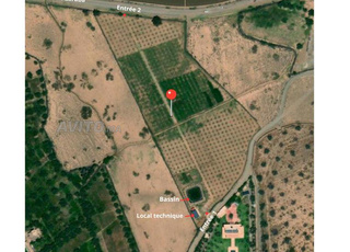 Vente terrain agricole 2,5 HA à Marrakech
