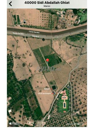 Vente terrain agricole 2,5 HA à Marrakech