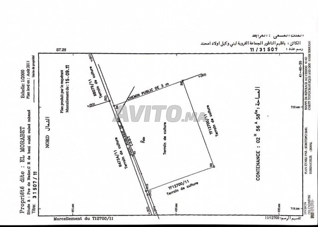 Terrain agricole enregistré à vendre à Nador (Beni Oukil Oulad Mahend)