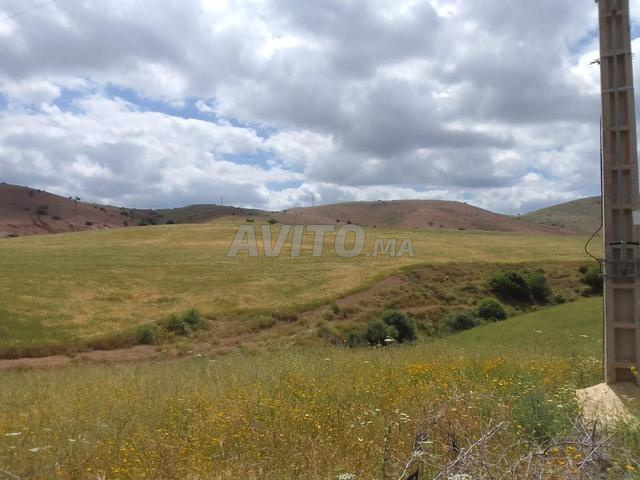 (Terrain agricole titré à vendre à Tiddas (14 hectares