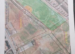 الولفة الدار البيضاء طريق الرحمة