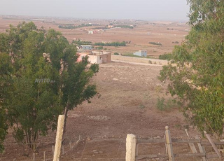Terrain agricole à vendre