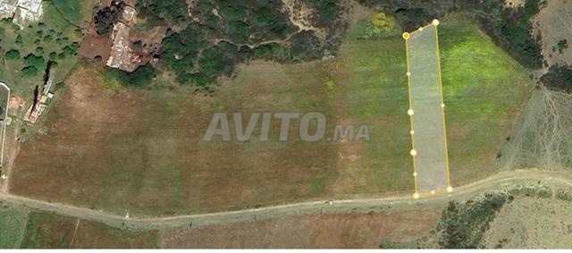 Terrain de 1,472 m² attenant au complexe de golf Lixus à Larache - 2