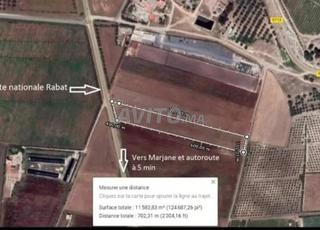 أرض زراعية للبيع