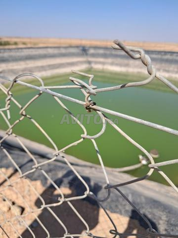 FERME DOMANIALE A 60 KM DE MARRAKECH
