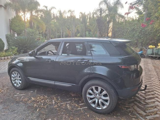 une belle range évoque noire 