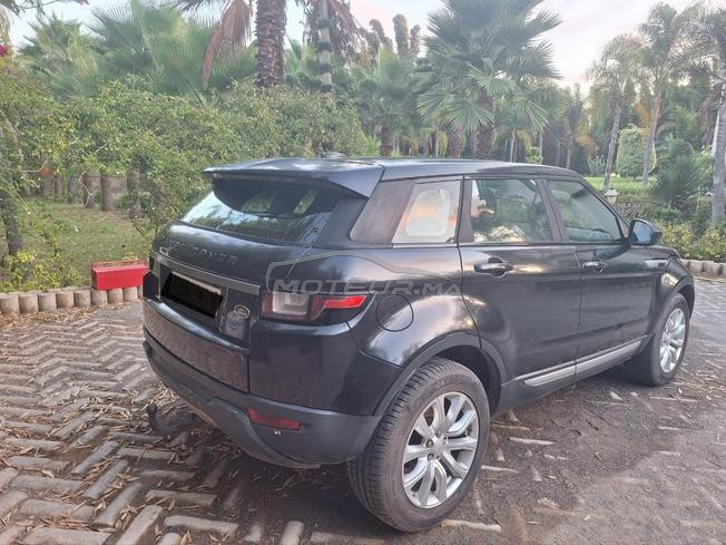 une belle range évoque noire 