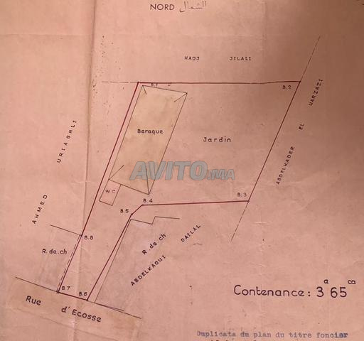 للبيع قطعة أرض مميزة في جبل الكبير - 2