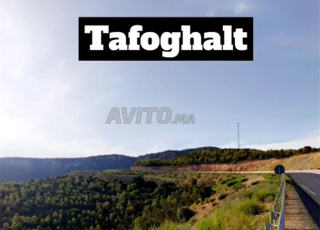 تافوغالت وجدة