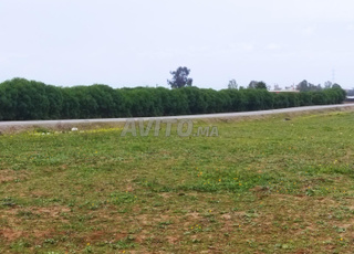 3000 mètres à vendre près de Bouznika