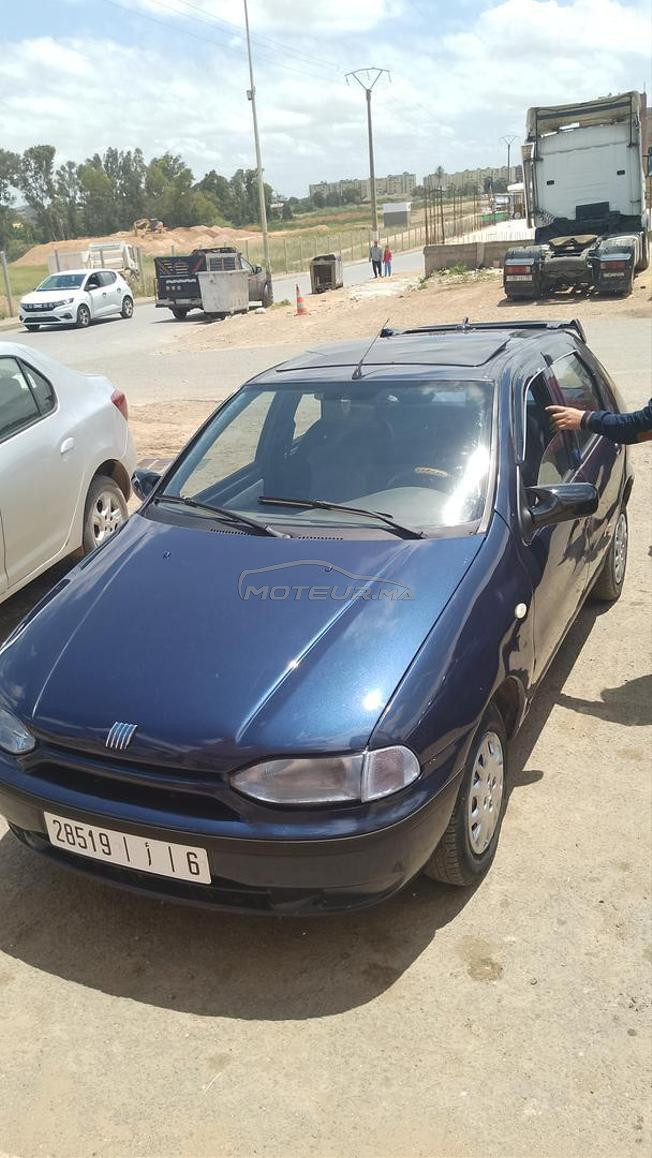 fiat palio