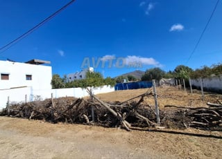 Terrain titré à vendre à Cabo Negro