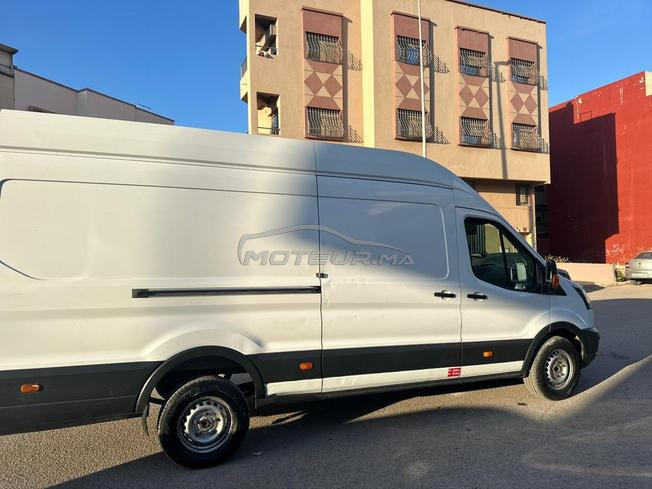 ford transit mliha