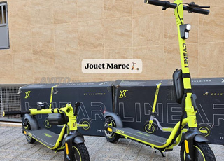 TROTTINETTE ECOXTREM LINAER ✔️