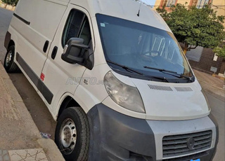 فيات دوكاتو