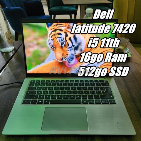 ديل لاتيتيود 7420 i5 الجيل الحادي عشر