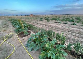 مزرعة بمساحة 45000 متر مربع - تيفلت مكام