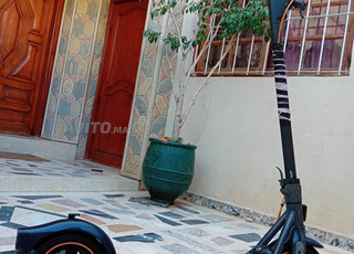 trotinette électrique