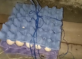 جماعة لمهارزة ساحل إقليم الجديدة