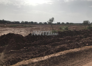 Terrain à vendre 1 hectare