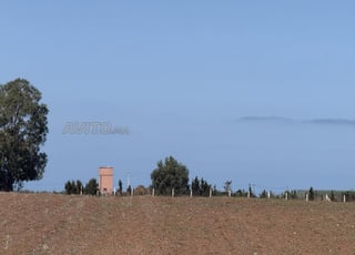 3 hectares titrés dans un emplacement stratégique à vendre