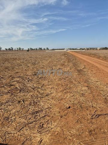 Terrain de 1 ha 2400 m² proche de Bir Jdid