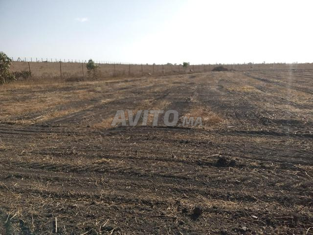 أرض زراعية مسيجة - 2