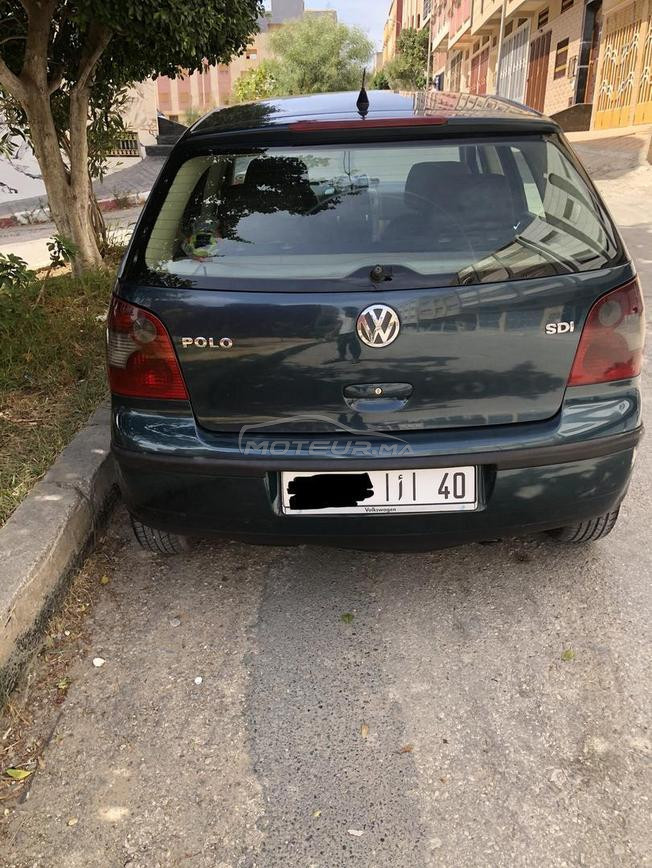 Golf Polo Sdi