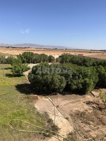 Belle ferme Angad Oujda aéroport