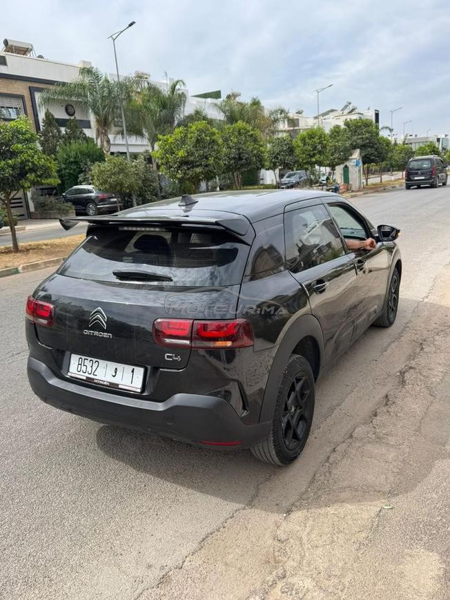 C4 CACTUS 2019 CARTEGRISE