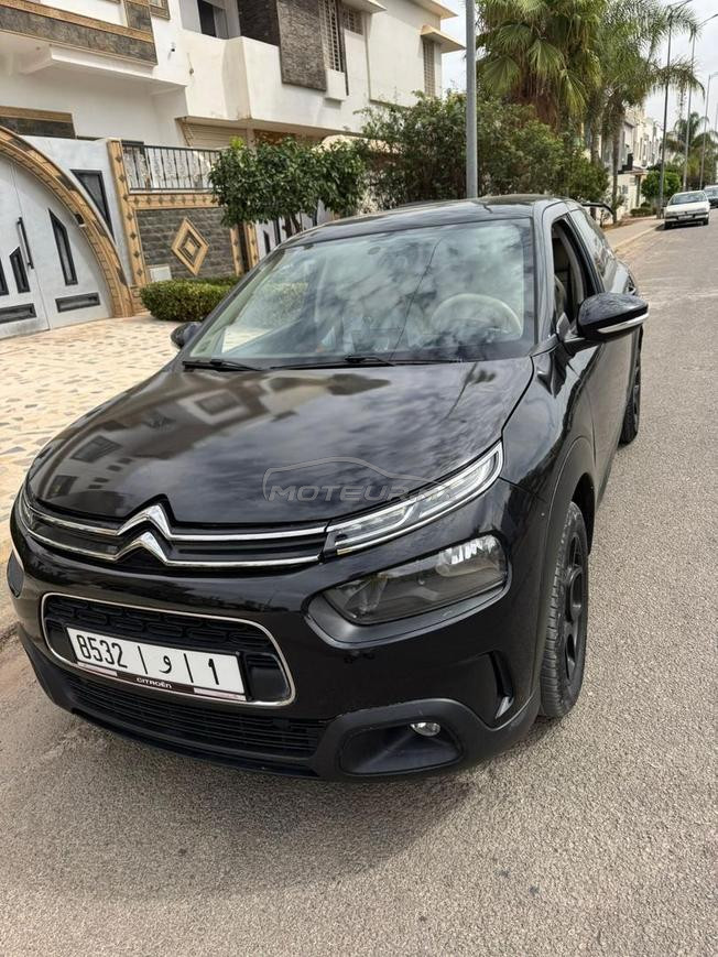 C4 CACTUS 2019 CARTEGRISE