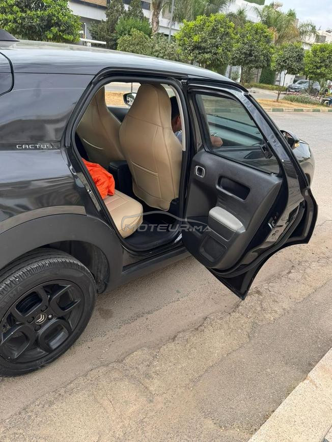 C4 CACTUS 2019 CARTEGRISE