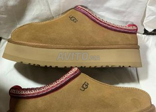 Des UGG TAZZ UG5431