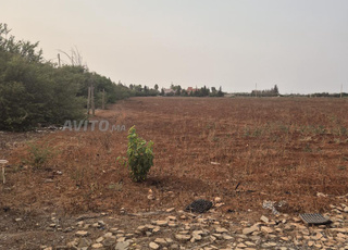 Terrain Agricole à vendre
