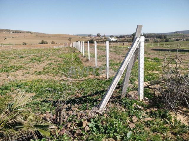 أرض زراعية مع منزل