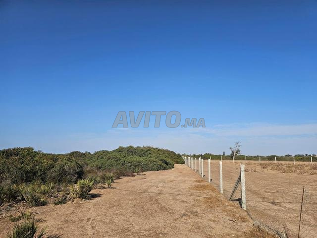 أرض مسجلة للبيع في بنسليمان - 2