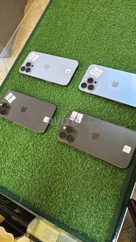 iPhone 12 Pro Max 