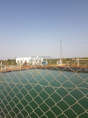 Ferme à vendre 2 hectares à tifelt