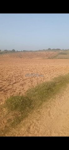 70 hectares de terre sableuse avec titre foncier