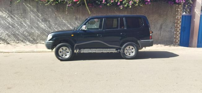 Prado avendre 