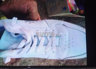 سبادريين بريمير شوك أصلي