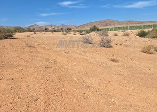 Terrain agricole 2 hectares (Zaio)