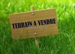 أرض للبيع تجارية شيكيلي